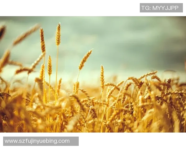 萨林杰的文学世界与心灵探索：从麦田里的守望者看其独特的创作风格与人生哲学