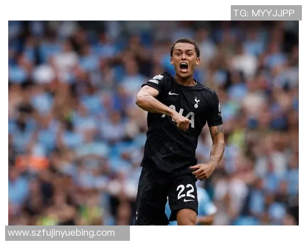 裁判承认误判致阿森纳进球无效赛后深表歉意