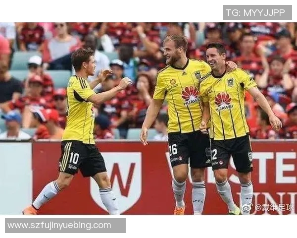 中央海岸与惠灵顿比赛结果分析及比分预测展望