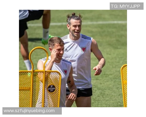 威尔士对阿塞拜疆精彩比赛视频回顾与分析尽在这里