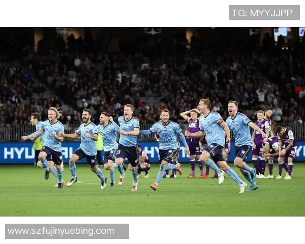 悉尼对阵墨尔本城精彩直播全程回顾与赛后分析