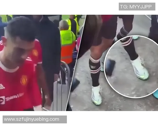 球迷冲进场内抢夺C罗球衣引发欧冠赛场奇葩事件