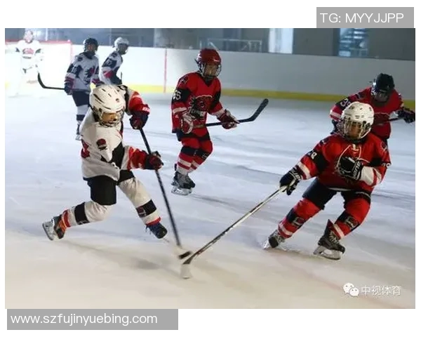 陕西与四川精彩对决集锦回顾激情瞬间与精彩时刻的完美呈现 陕西与四川精彩对决集锦回顾激情瞬间与精彩时刻的完美呈现