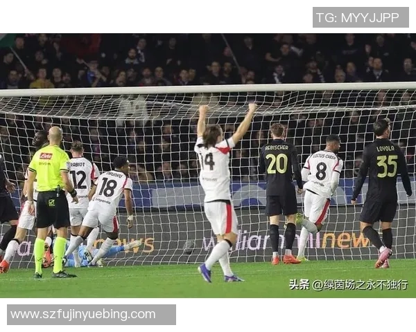 多特蒙德球迷暴力事件引发欧冠禁赛处罚及高额罚款