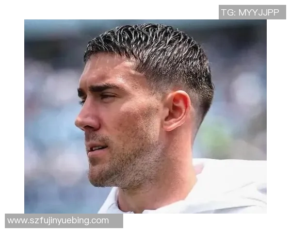 弗拉霍维奇的崛起之路:从天才少年到意甲锋线新星的传奇旅程