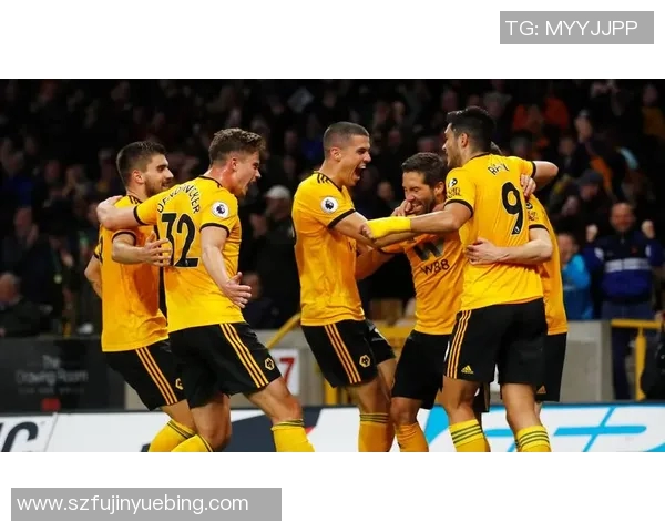 狼队与布伦特福德对决前瞻分析及胜负预测详解