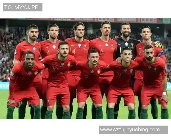 葡萄牙与芬兰足球赛前瞻及胜负预测分析