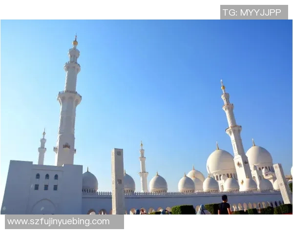 阿布扎比与扎巴汉的对决分析及双方实力对比探讨