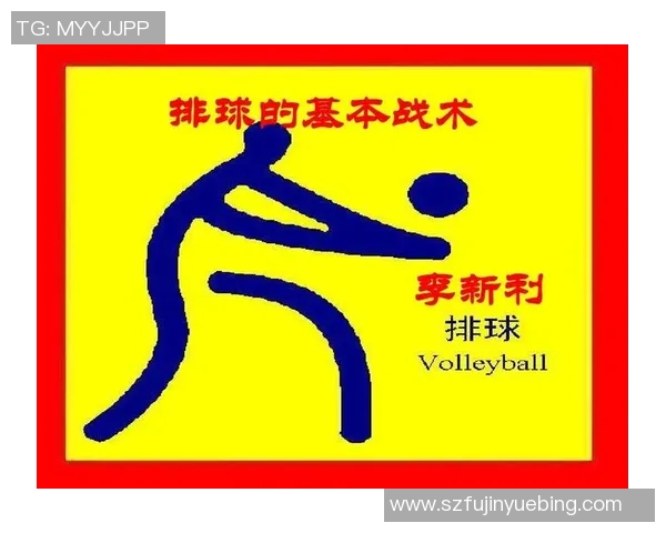 南京排球队进攻策略深度解析与战术创新探讨